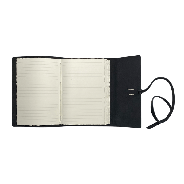 Cooper Large Journal 2