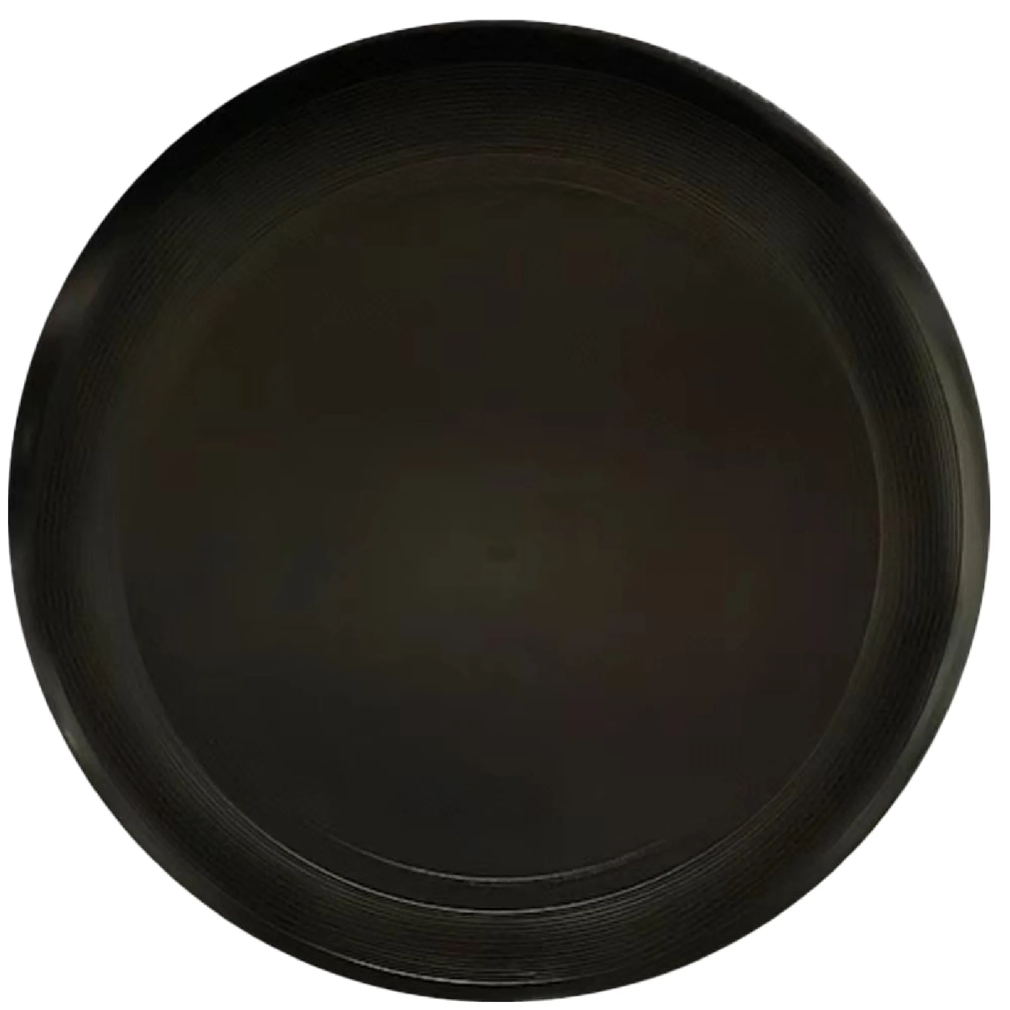 Adult rodeo flying disc 2