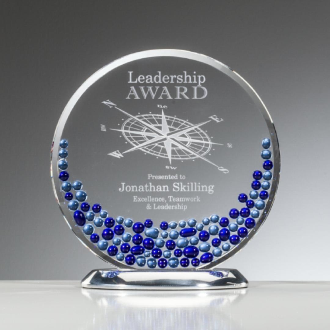 Denali Award - Blue 5