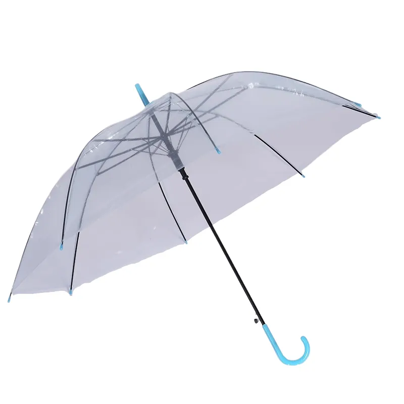 Transparent Umbrella 4