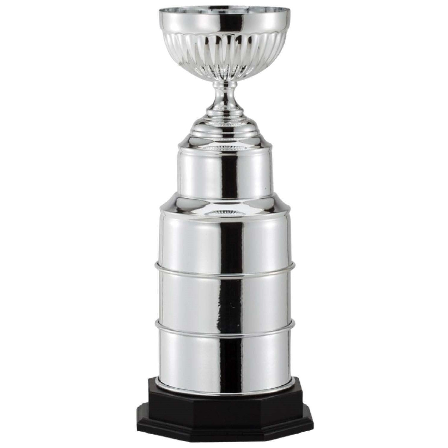 Silver Perpetual Championship Cup 2