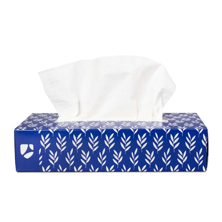 Facial Tissues Standard 2-Ply - 90 per Box 1
