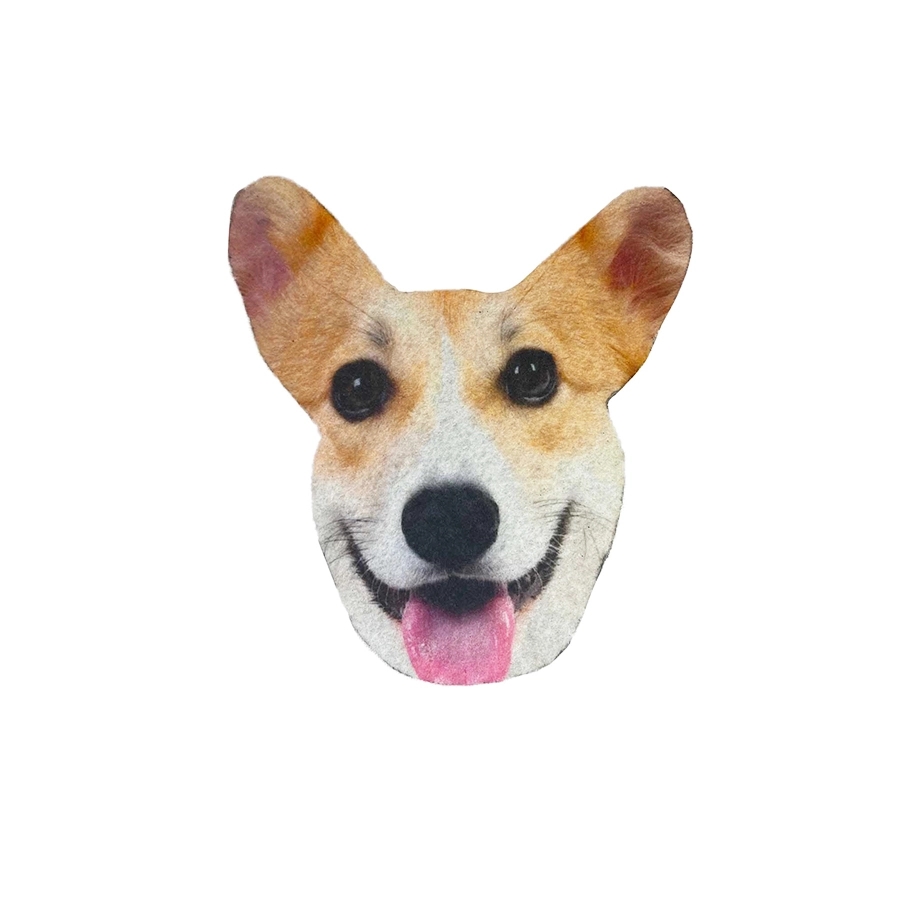 Custom Coasters 8
