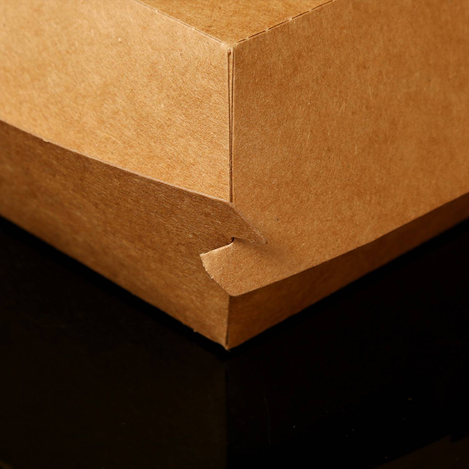 Custom Disposable Kraft Paper Burger Box 3