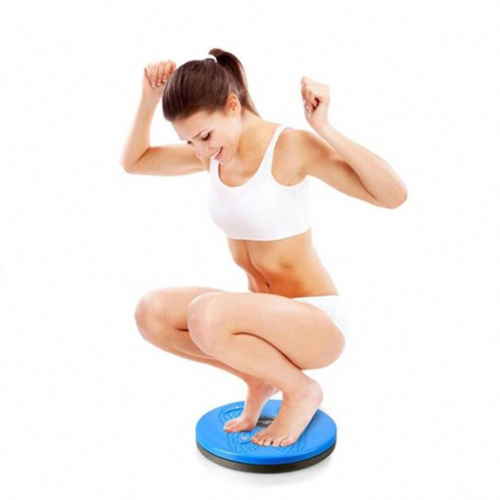 Ab Roller Waist Twisting Disc 4