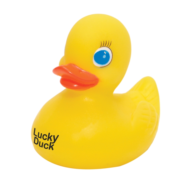 Large Duck 1