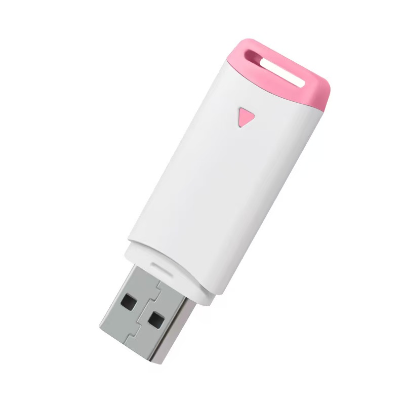 Custom 8GB Plastic USB Flash Drive 2