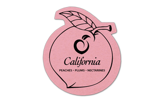 Peach Compressed Sponge 4PC 1