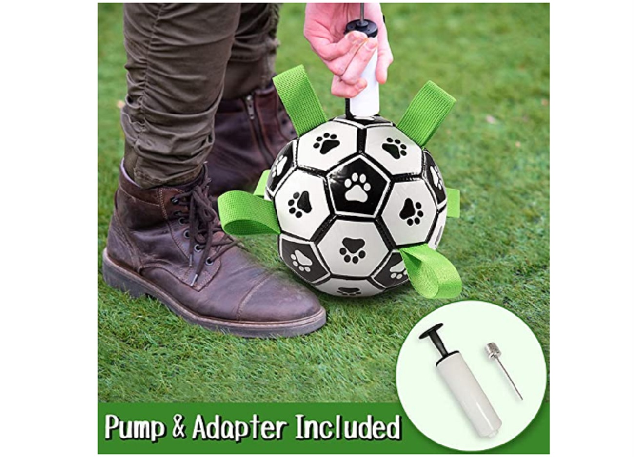 Interactive Dog Toys 4