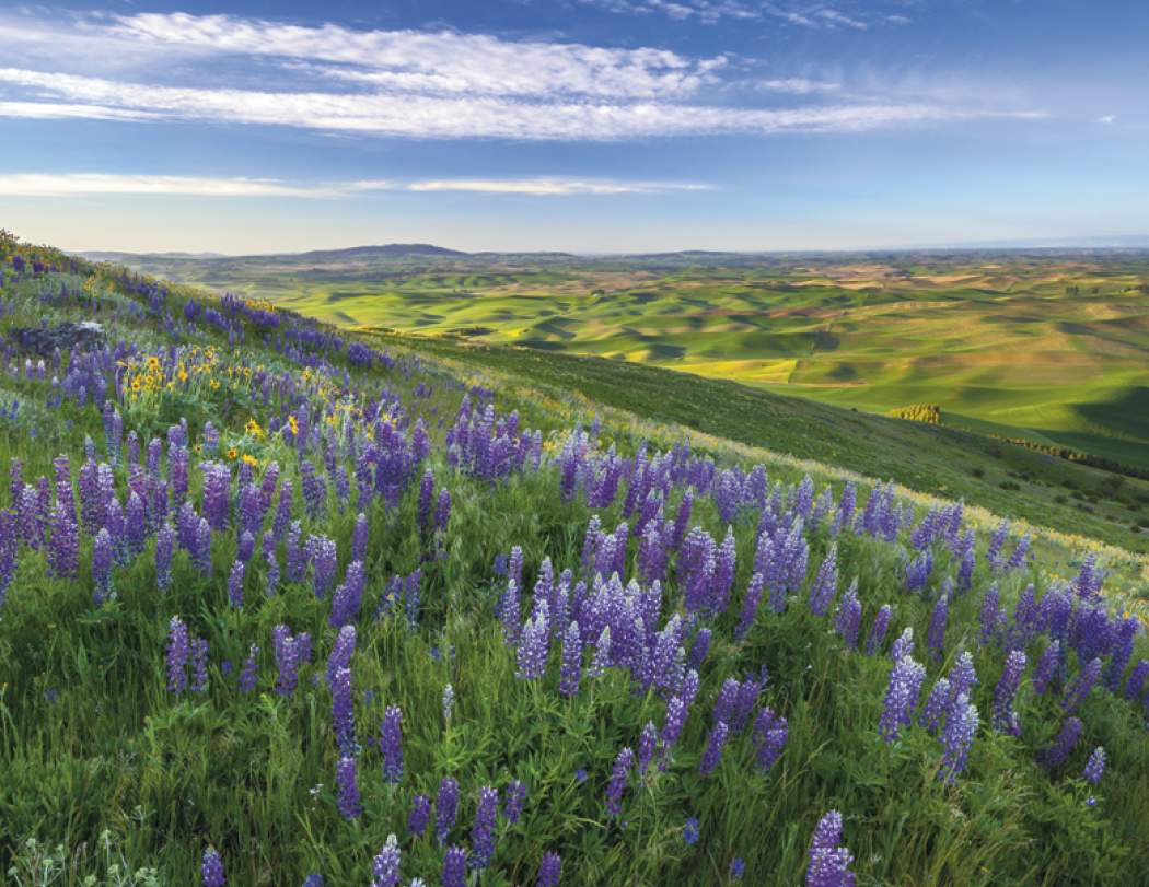 Triumph® Calendars Beautiful America Calendar 1