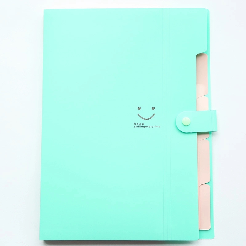 Expanding File Folder 5 Pockets 8