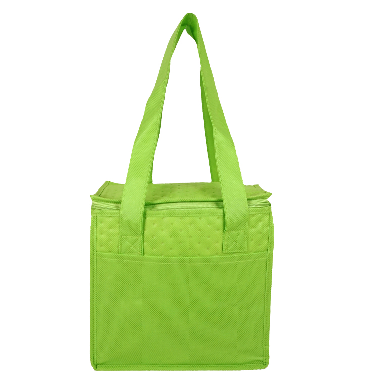Denali Insulated Convenient Cooler 11