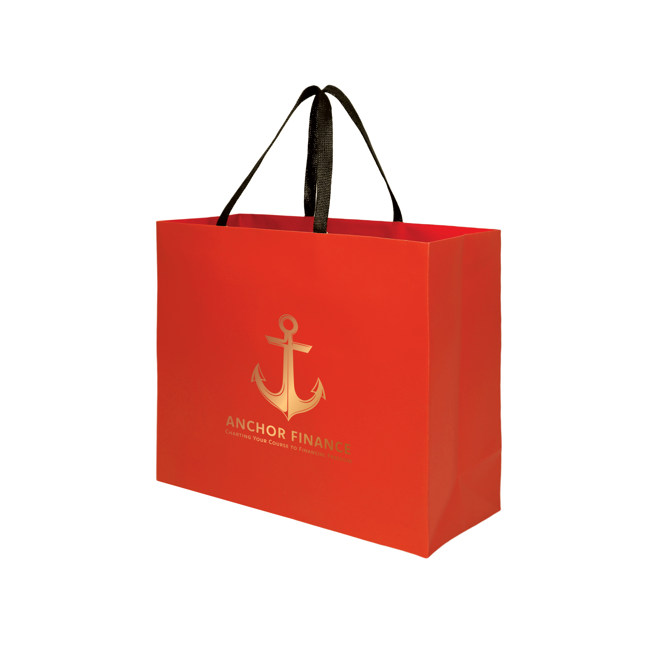 Sugarcane Paper Bag with Embedded Web Style Paper Handles - 10