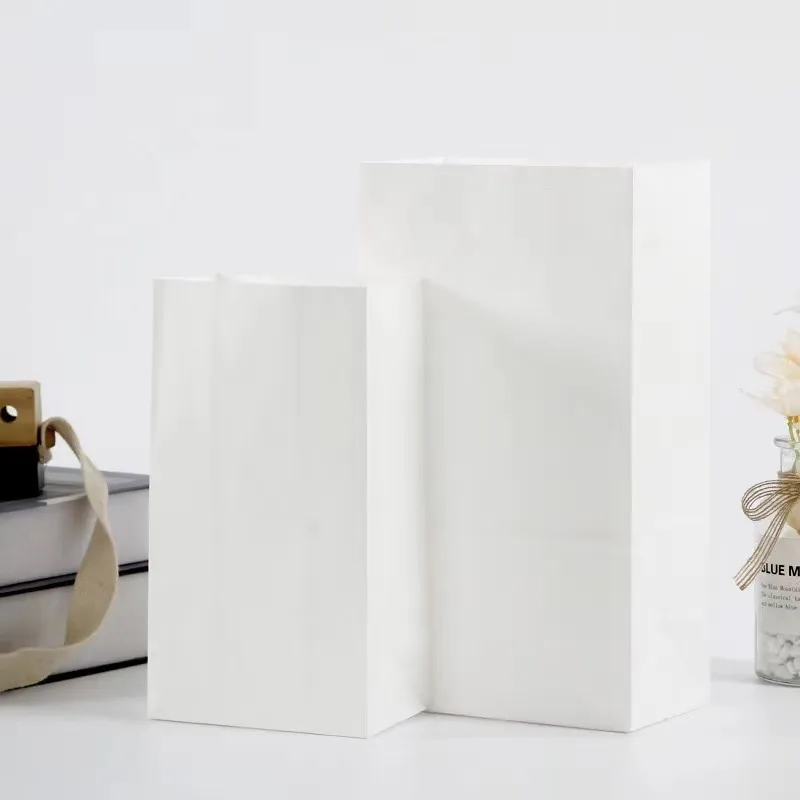Craft Paper Popcorn Bag 1