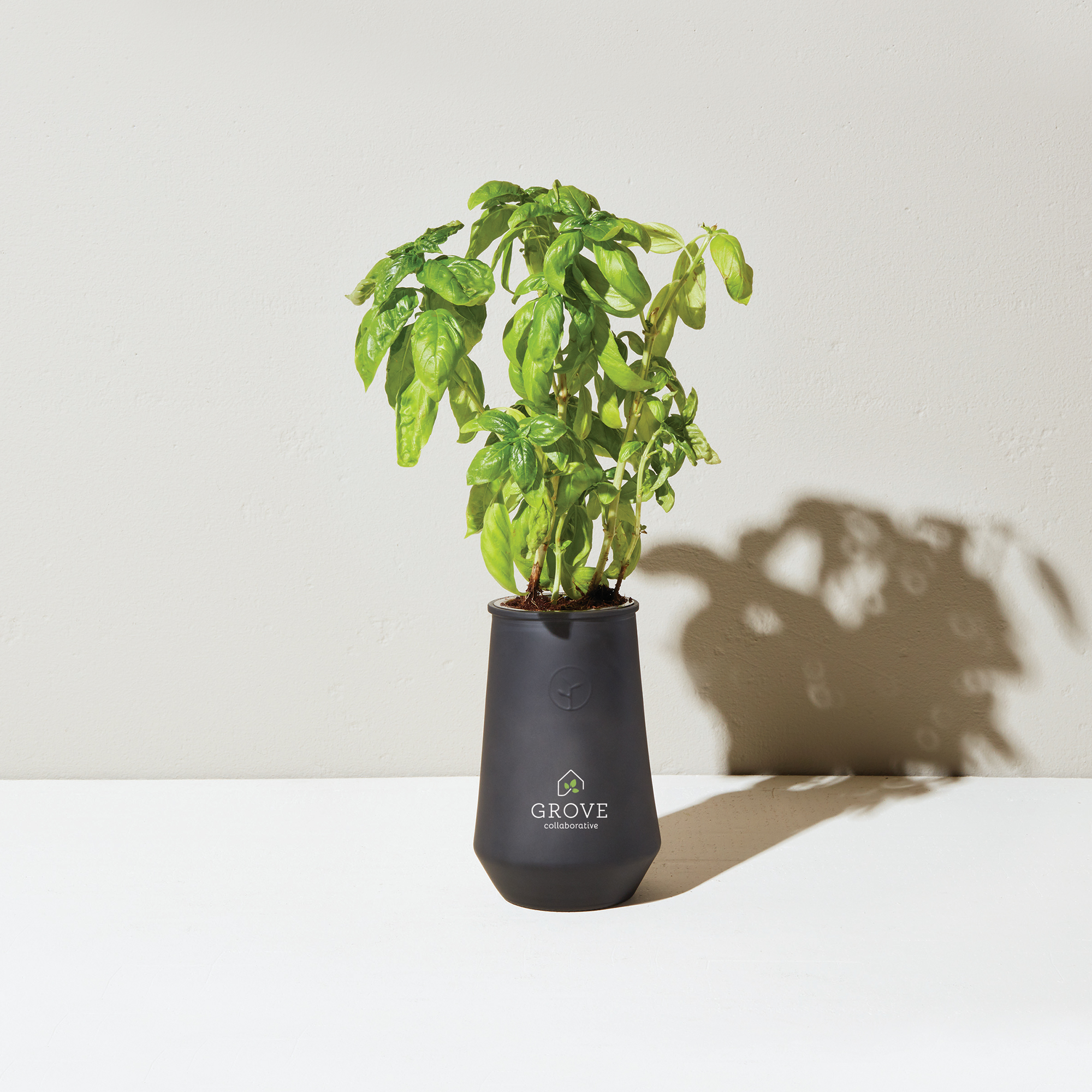 Modern Sprout® Tapered Tumbler Grow Kit 22