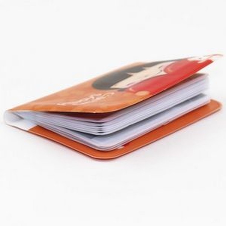 Bank/ Credit Card Case 2