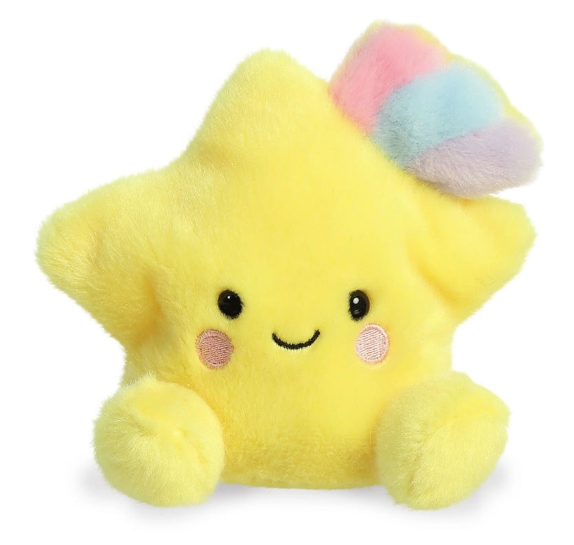 5" Bean Bag Star 2
