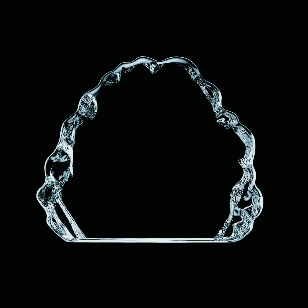 Spence Iceberg Award 3