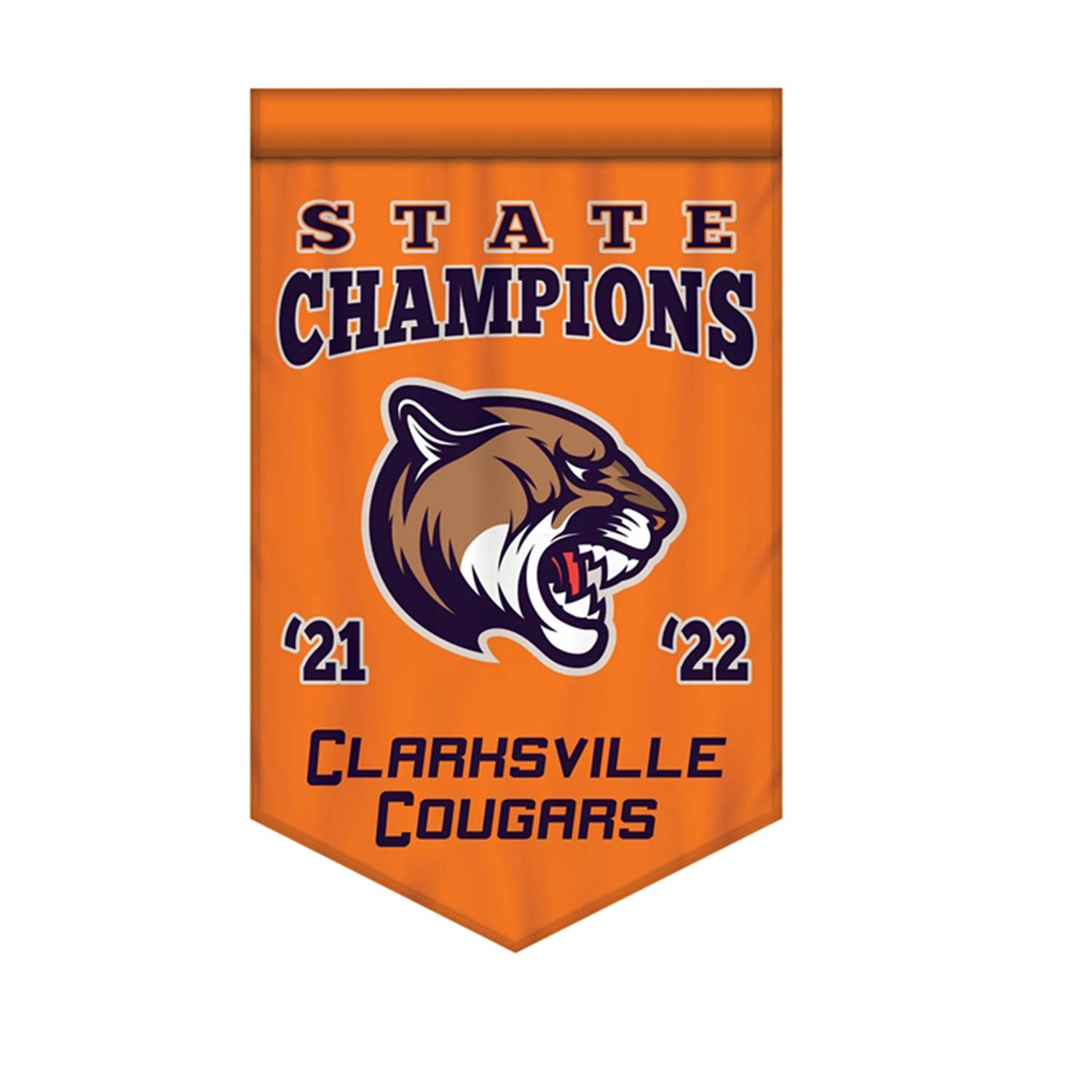 Championship Banner Double Sided V-Cut 5