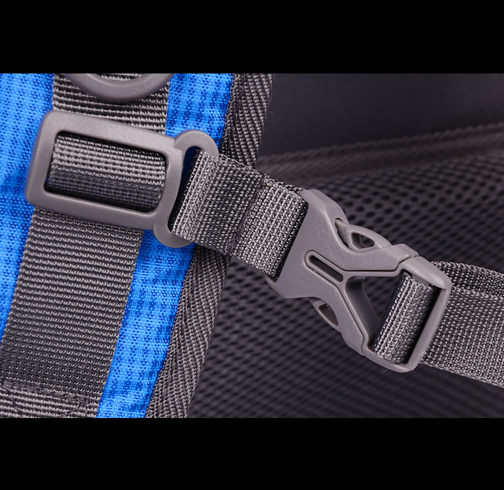 Travel Backpack with Rain Cover 6
