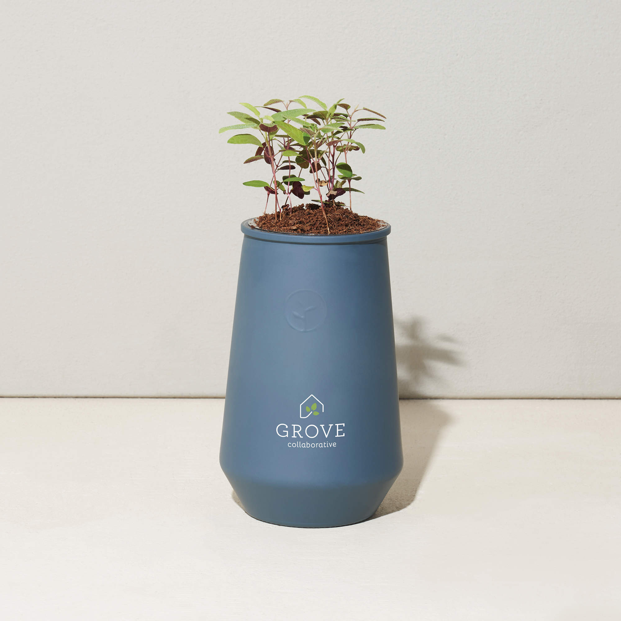 Modern Sprout® Tapered Tumbler Grow Kit 12