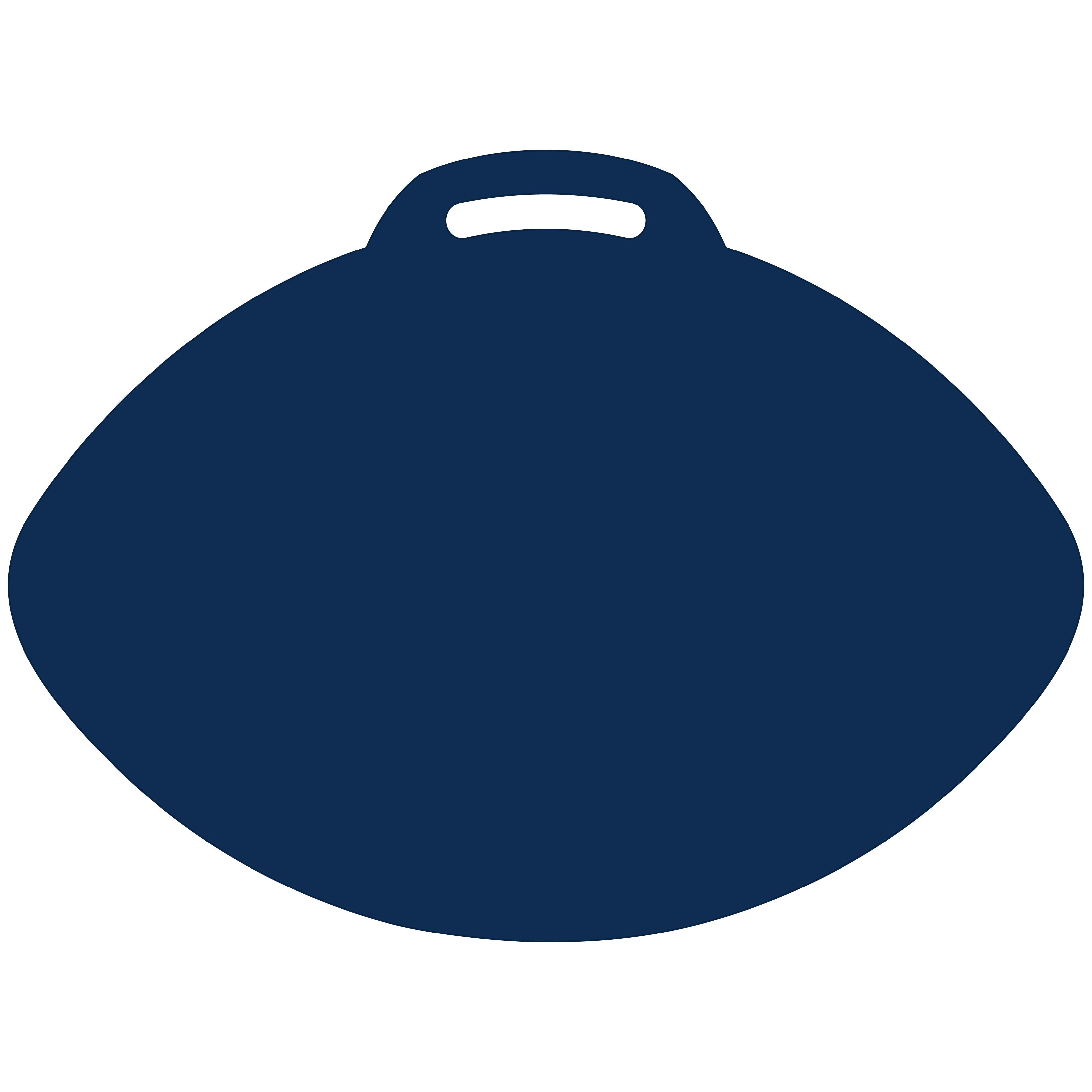Football-Shaped Vinyl Stadium Cushion (18") 6