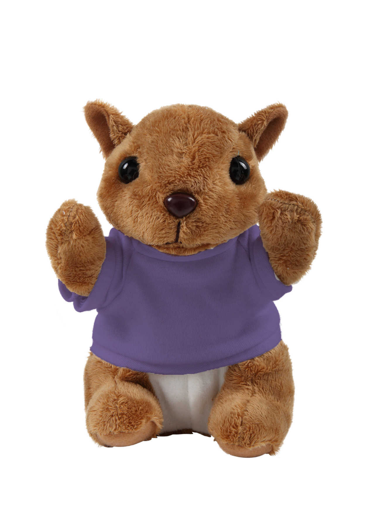 Soft Plush Sitting Squirrel with T-shirt 28