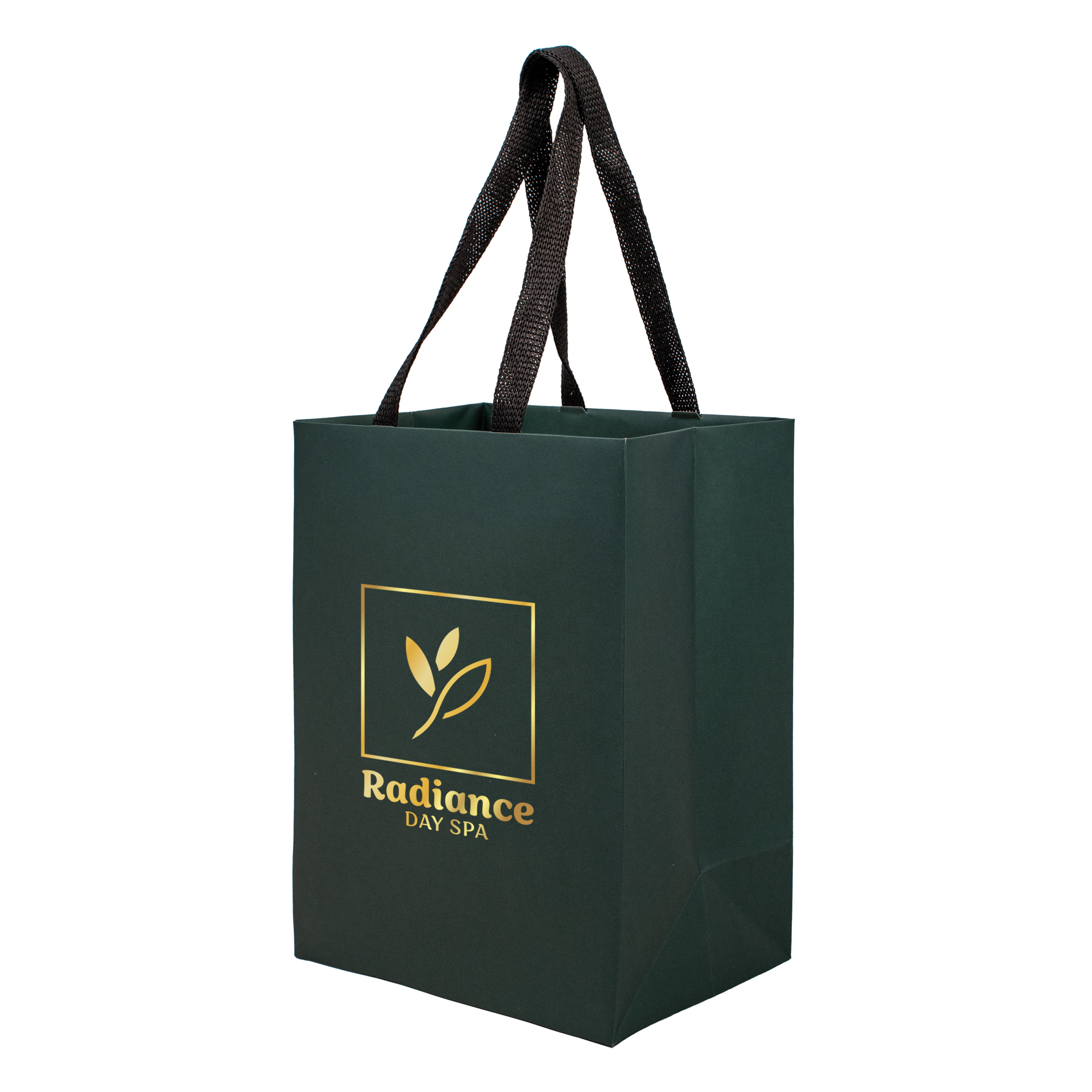 Sugarcane Paper Bag with Embedded Web Style Paper Handles - 4
