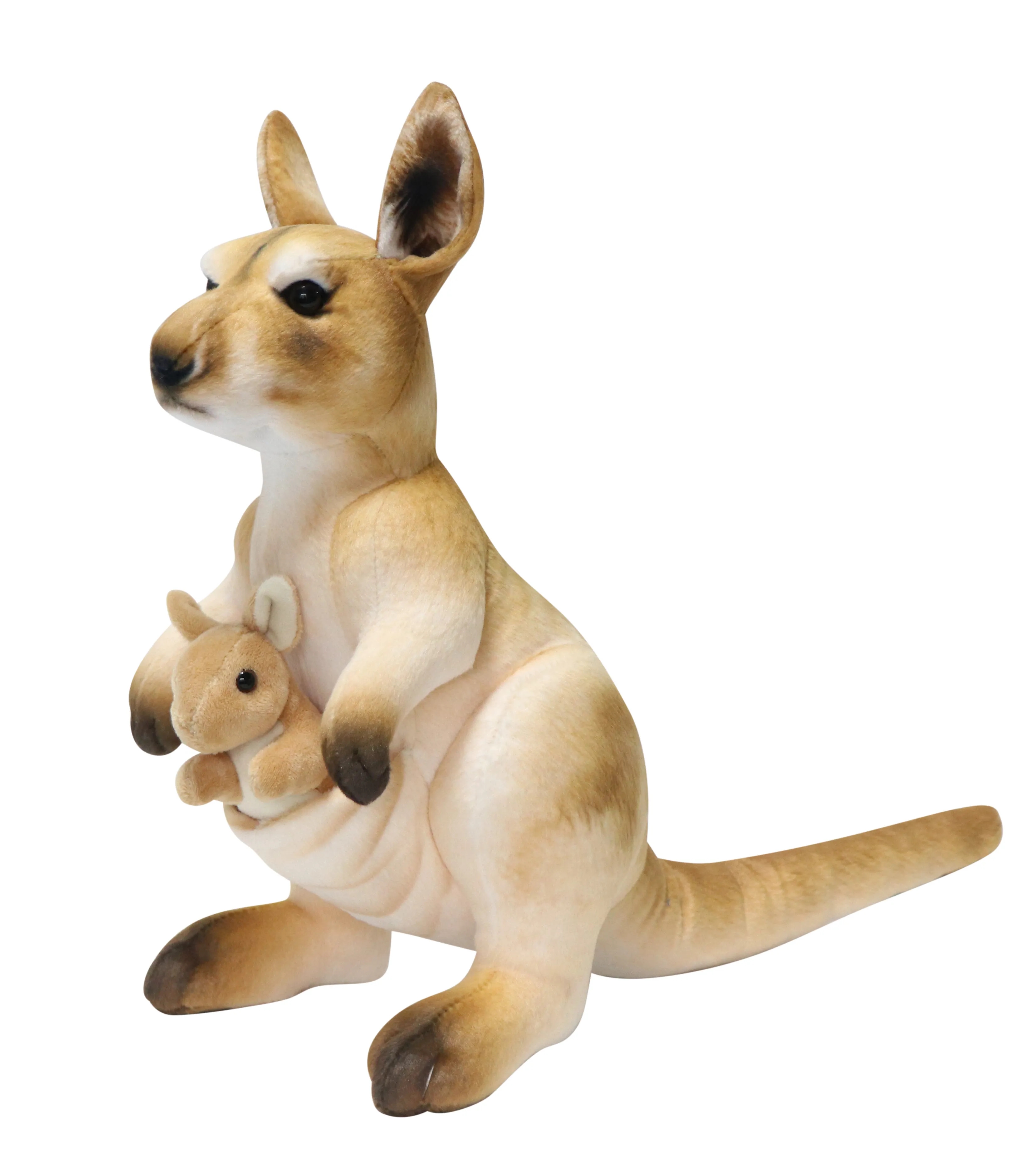 Kangaroo 1