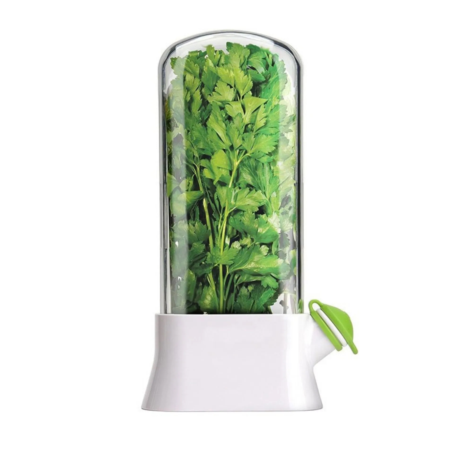 Vegetable Preservation Box 4