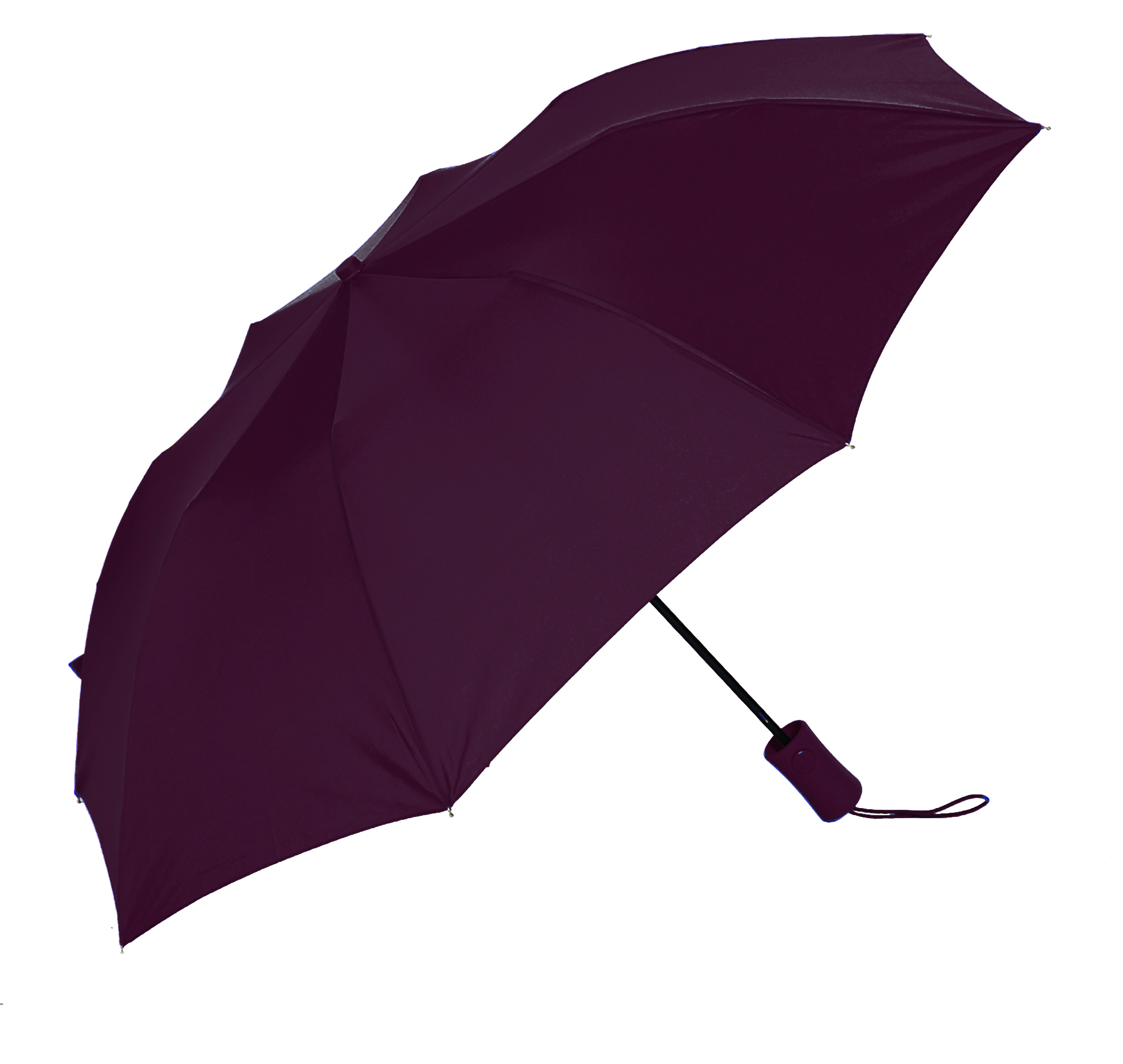 The Victory Umbrella 17