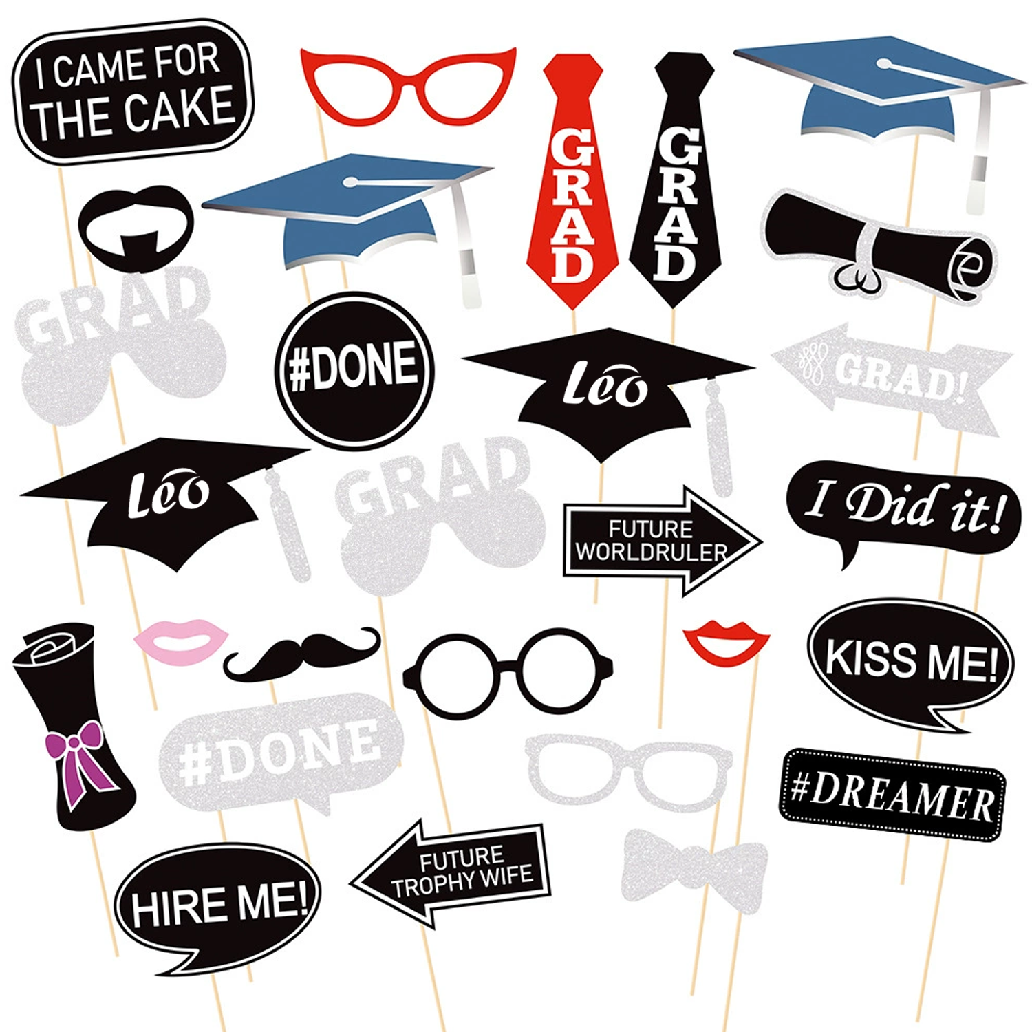 College Graduation Party Funny Photo Prop Set 11