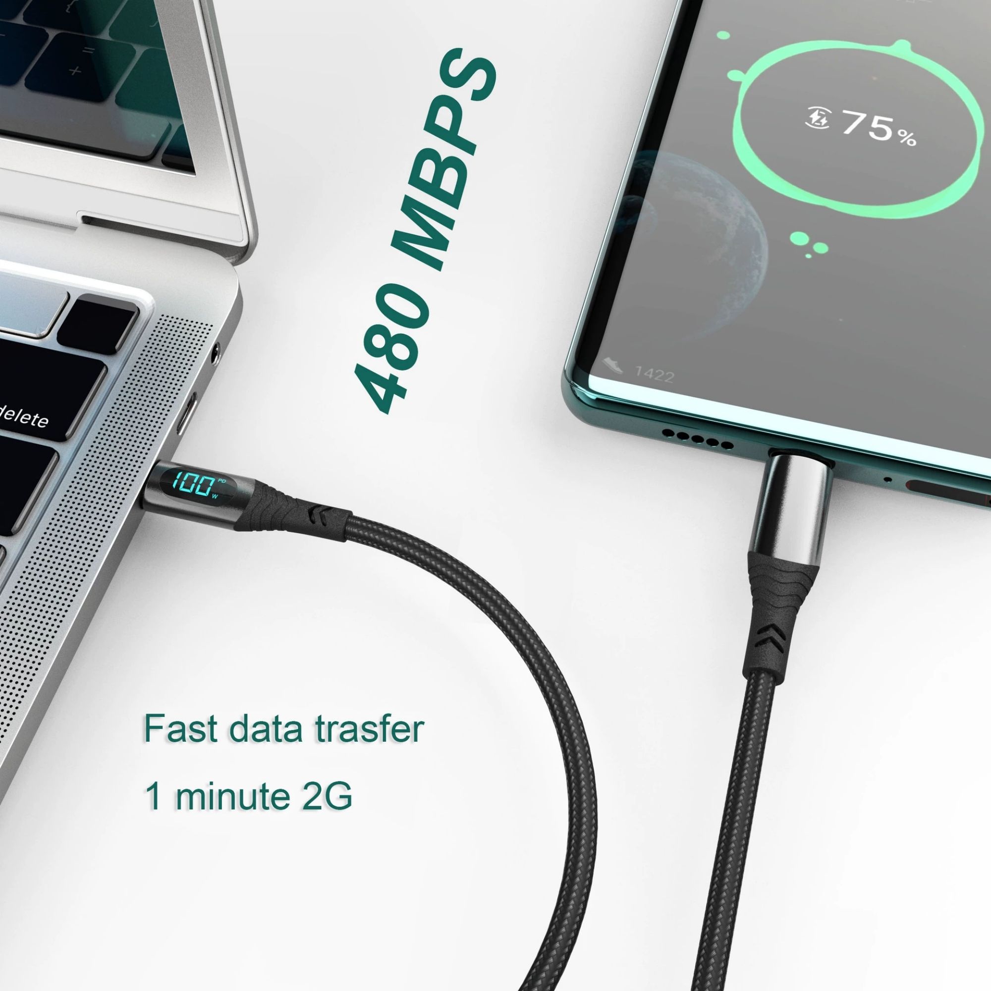 PD 100W Fast Charging Cable 2
