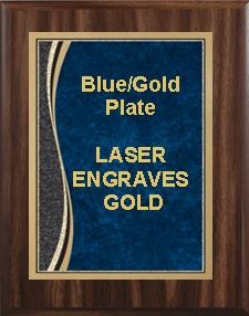 9" x 12" Walnut Finish Plaque with a Blue Marble Patina Plate 1