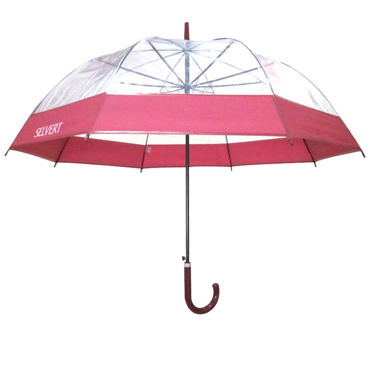 Clear and Transparent Umbrella 3