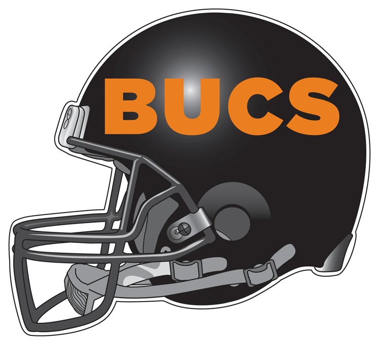 Custom 7" Football Helmet Car Magnet 2
