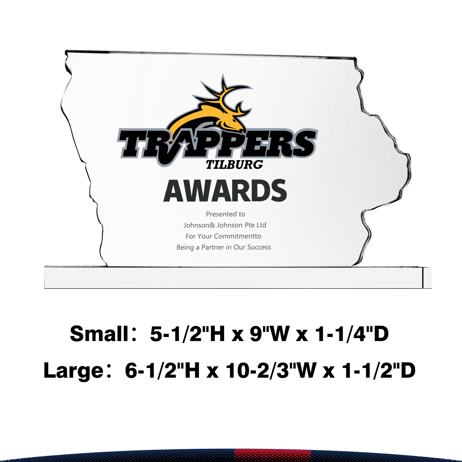 Cretch Iowa Crystal Award 6