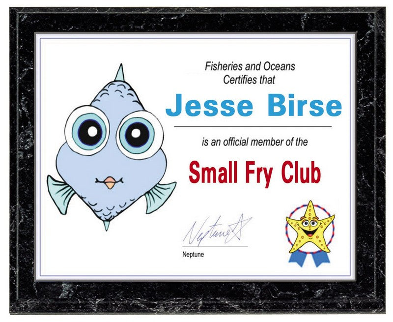Certificate Plaque 1