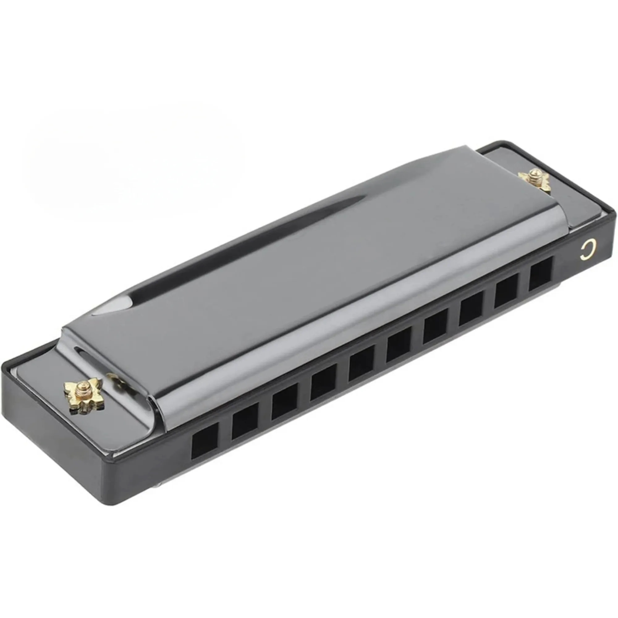 10 Holes 20 Tunes Mouth Organ Blues Deluxe Harmonica Gift 6