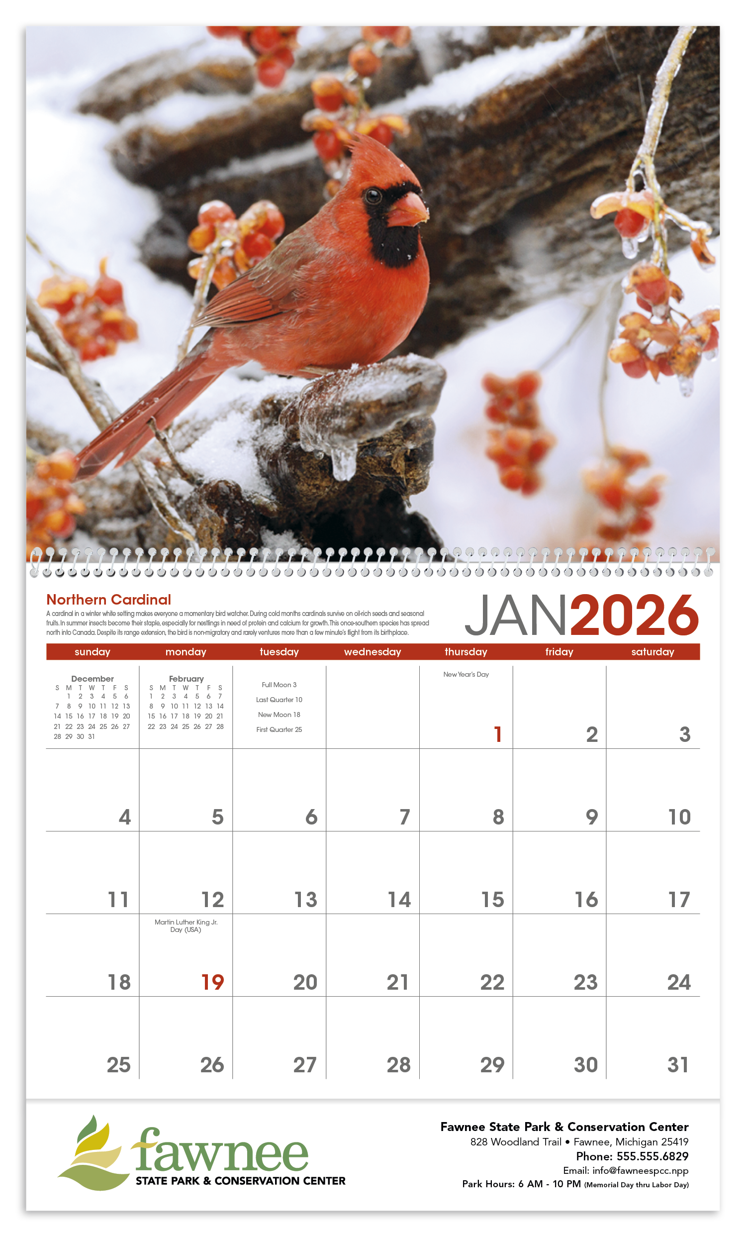 Triumph® Calendars Birds Calendar 95