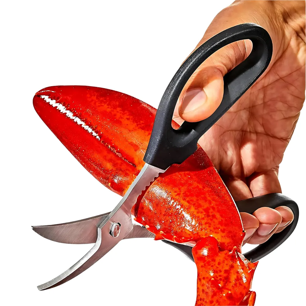 Stainless Steel Seafood Scissors 10