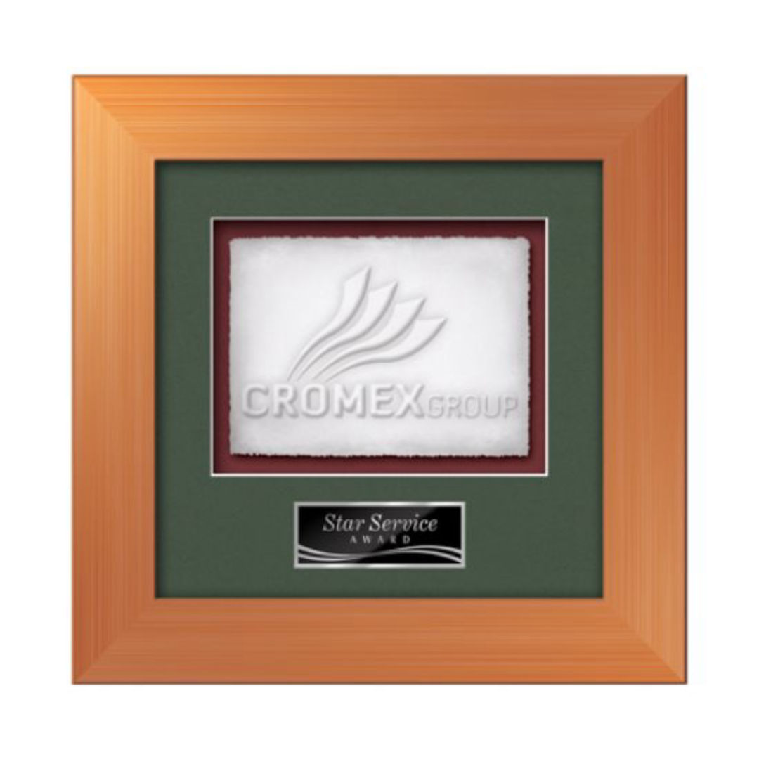Premier - Bronze 3