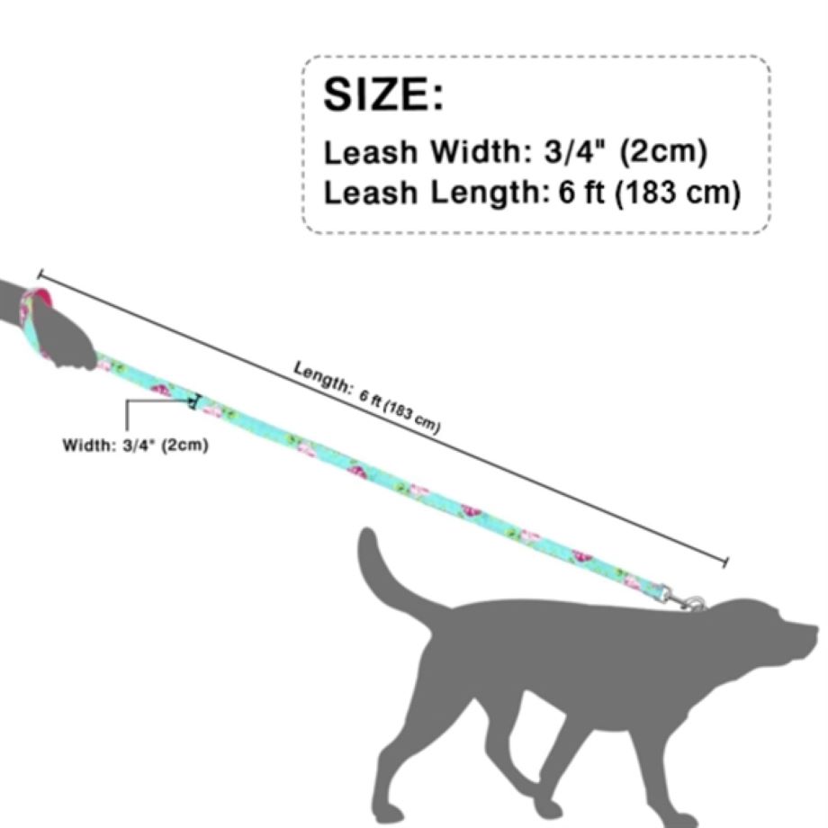 Dye-Sublimation Dog Leash with Adjustable Collar & Carabiner 1
