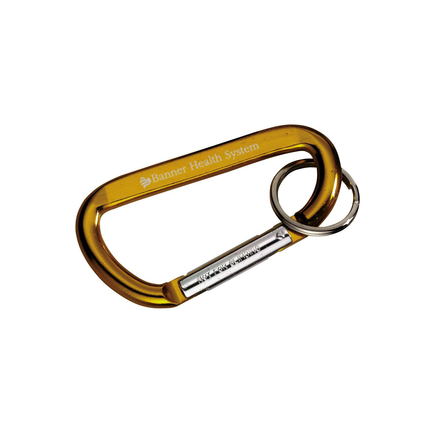 Carabiner with Ring 9