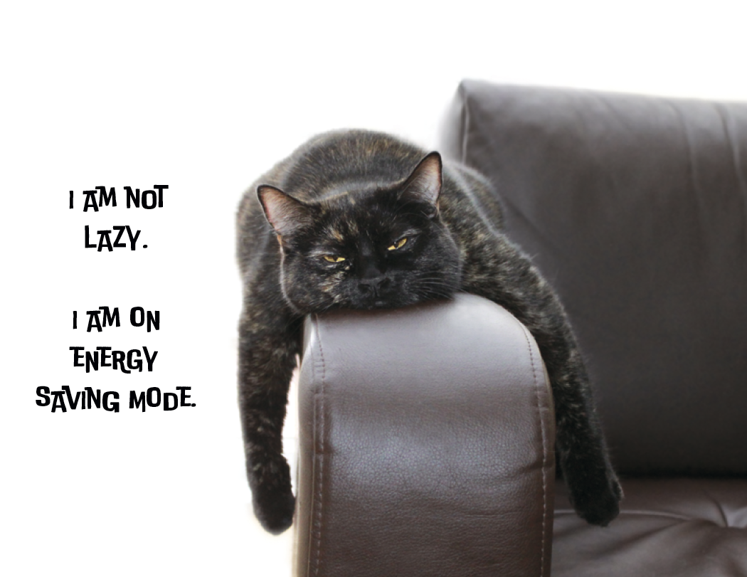 Good Value™ Pets with Attitude - Spiral Calendar 19