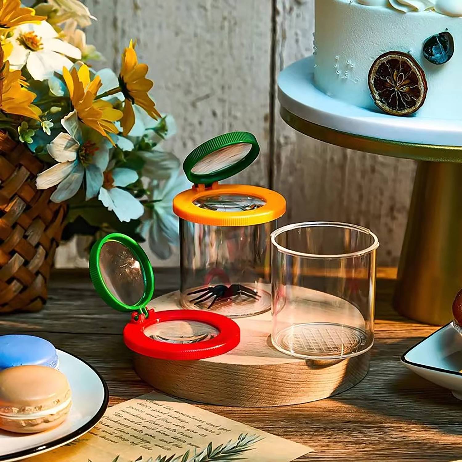 Kids' Outdoor Insect Observation Cup W/ Magnifier 5