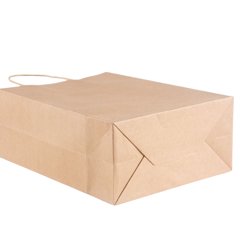 Carry Bags 3