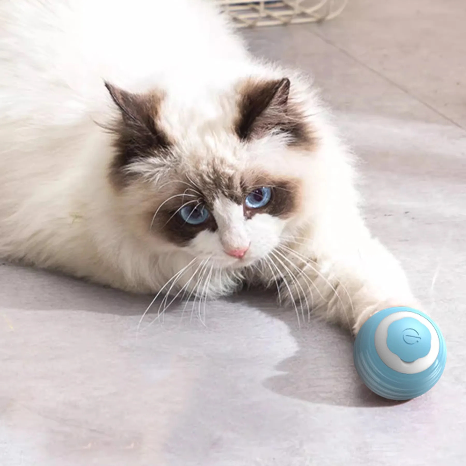 Silicone Automatic Cat Teasing Ball 7