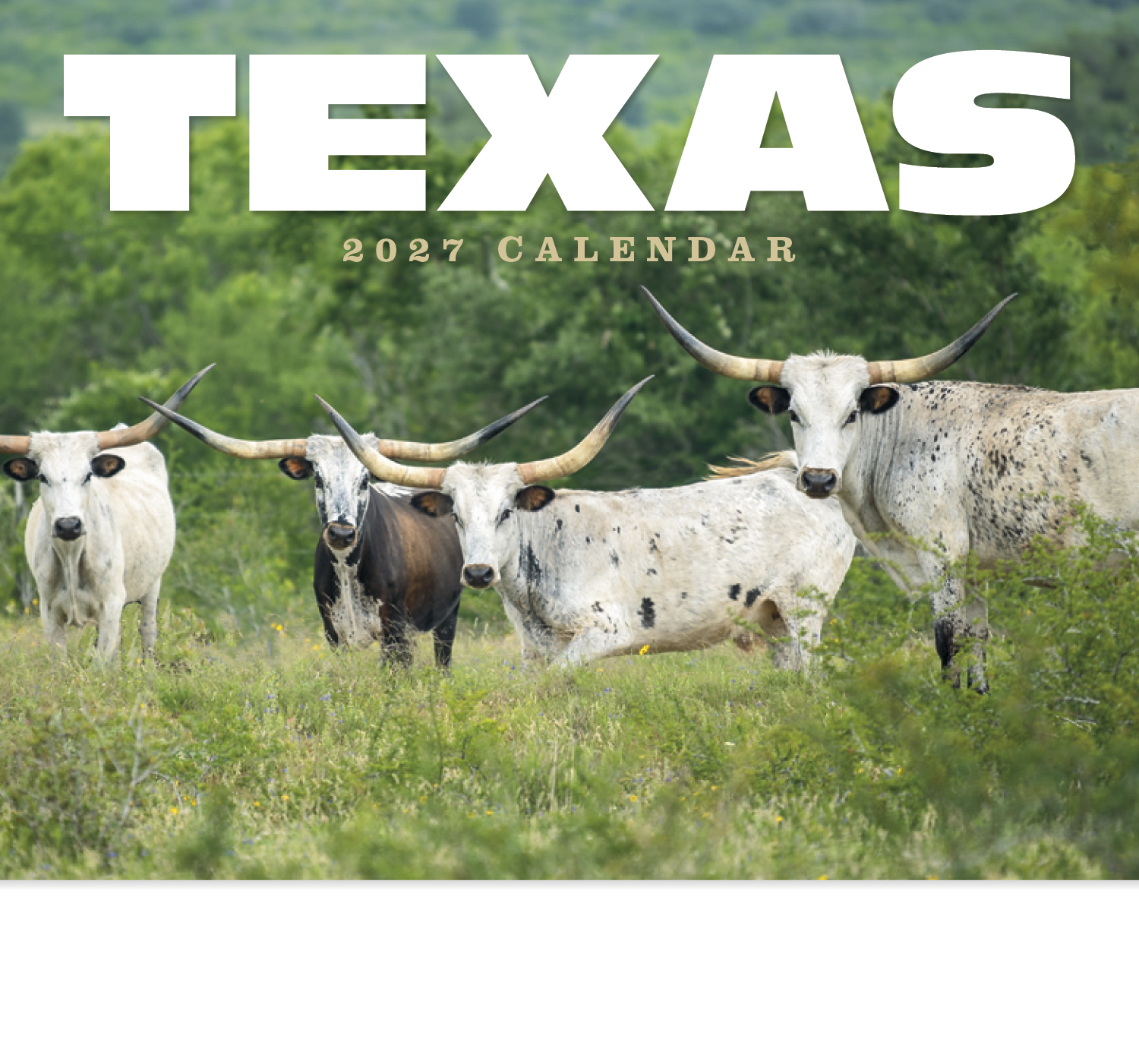 HotLine® Products Texas Appointment Calendar - Stapled 19