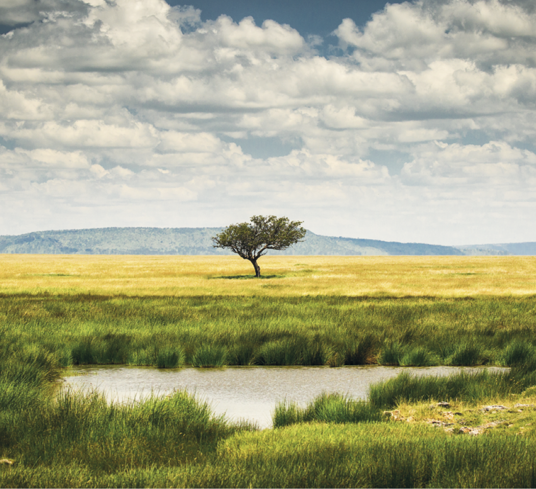 Good Value™ Glorious Getaways - Mini Calendar 27